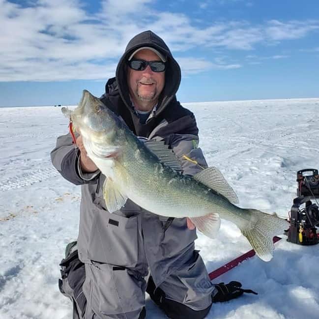 Photo of Lake Winnipeg Walleye