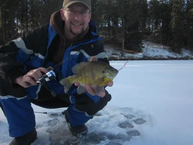 Photo of Clam Ice Armor Suit and Bluegill