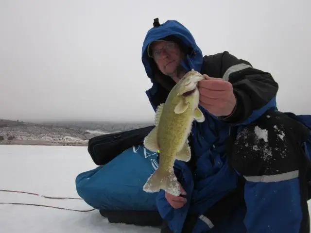 Photo of a Smallmouth on Overcast Day