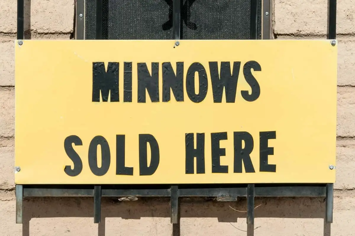 Photo of Minnows Sold Here Sign